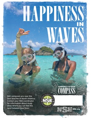 NSE_SchoolPoster_Beaches_2026