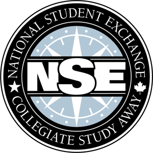 NSELogoColor Baby Blue